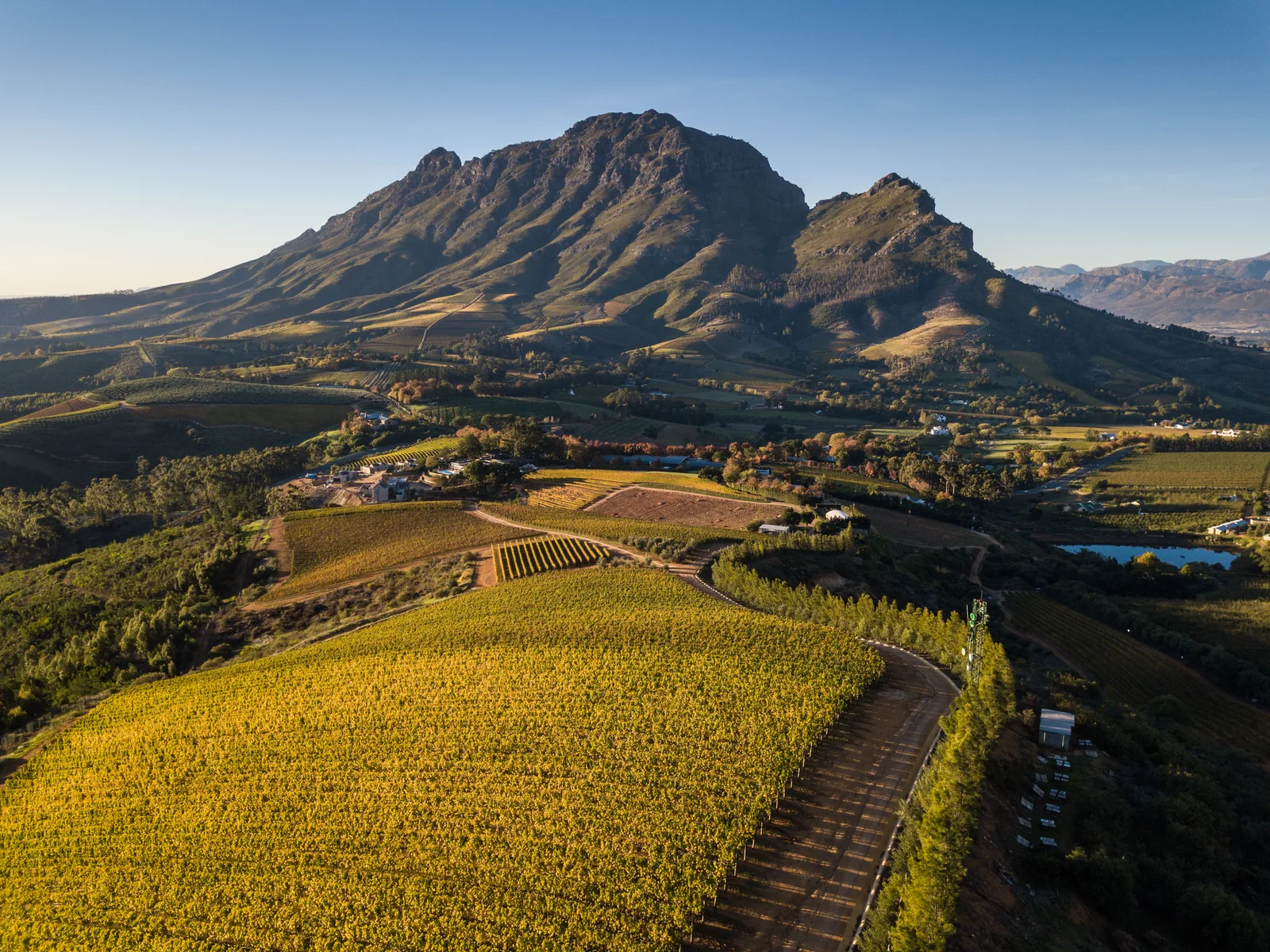 Private Cape Winelands Tour — Stellenbosch vineyard estate at golden hour — Wanderer Tours and Travel