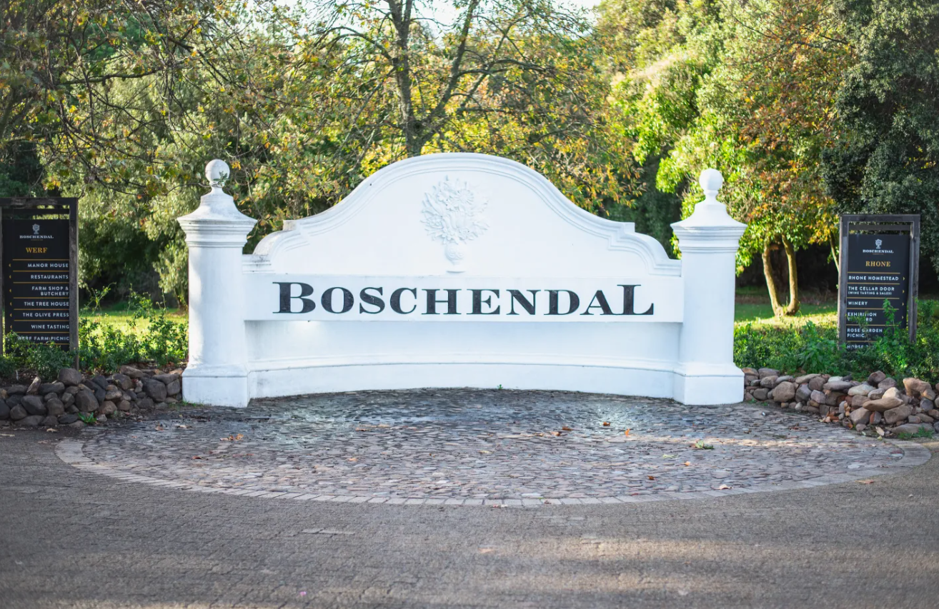 Constantia Wine Tour — Boschendal-style historic Cape estate with Wanderer