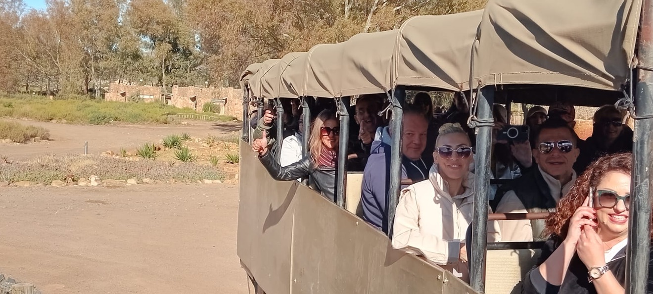 Safari Cape Town — lion sighting on a private safari from Cape Town with Wanderer