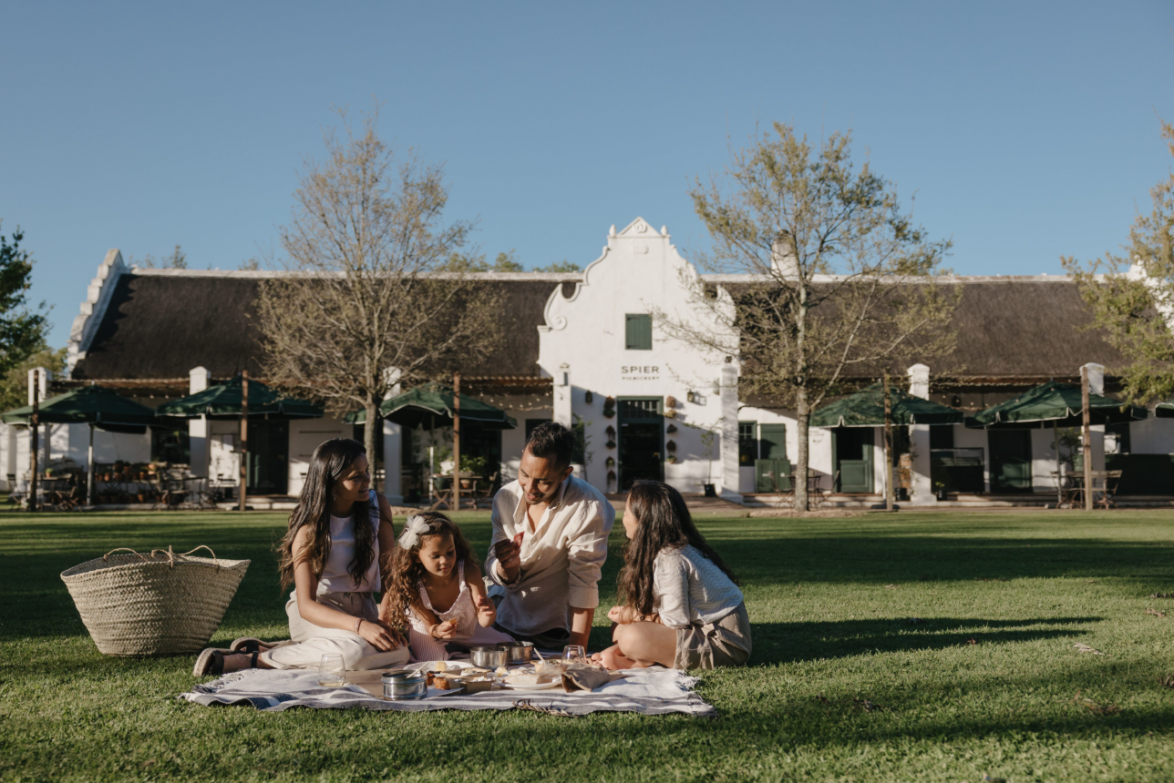 Cape Town Wine Tours overview — Spier estate in Stellenbosch