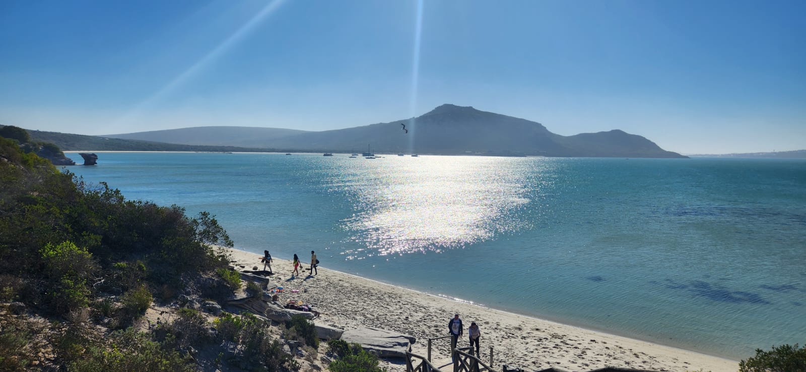 West Coast Tour from Cape Town — Langebaan lagoon and West Coast National Park with Wanderer